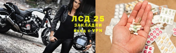 прущие грибы Сатка