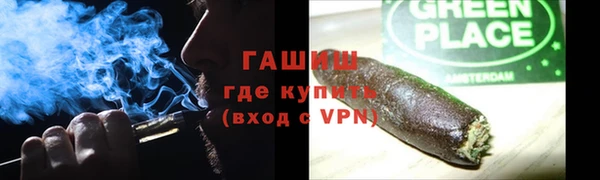 прущие грибы Сатка