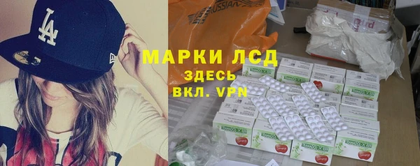 прущие грибы Сатка