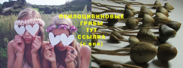 прущие грибы Сатка