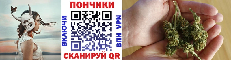 нарко площадка формула  Кингисепп  Марихуана индика 